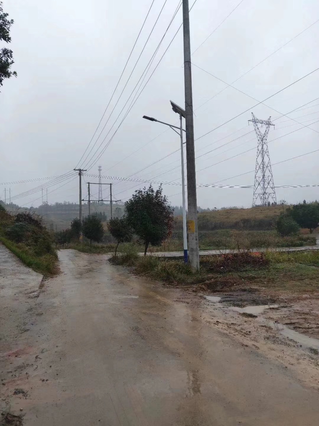 農(nóng)村新裝的太陽能路燈